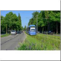 2019-06-08 17 Arabellapark 2214.jpg